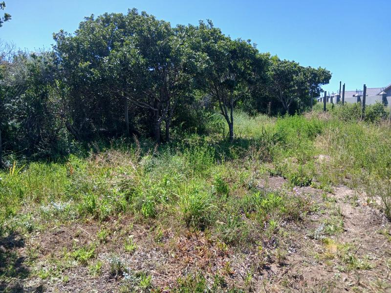 0 Bedroom Property for Sale in Tergniet Western Cape